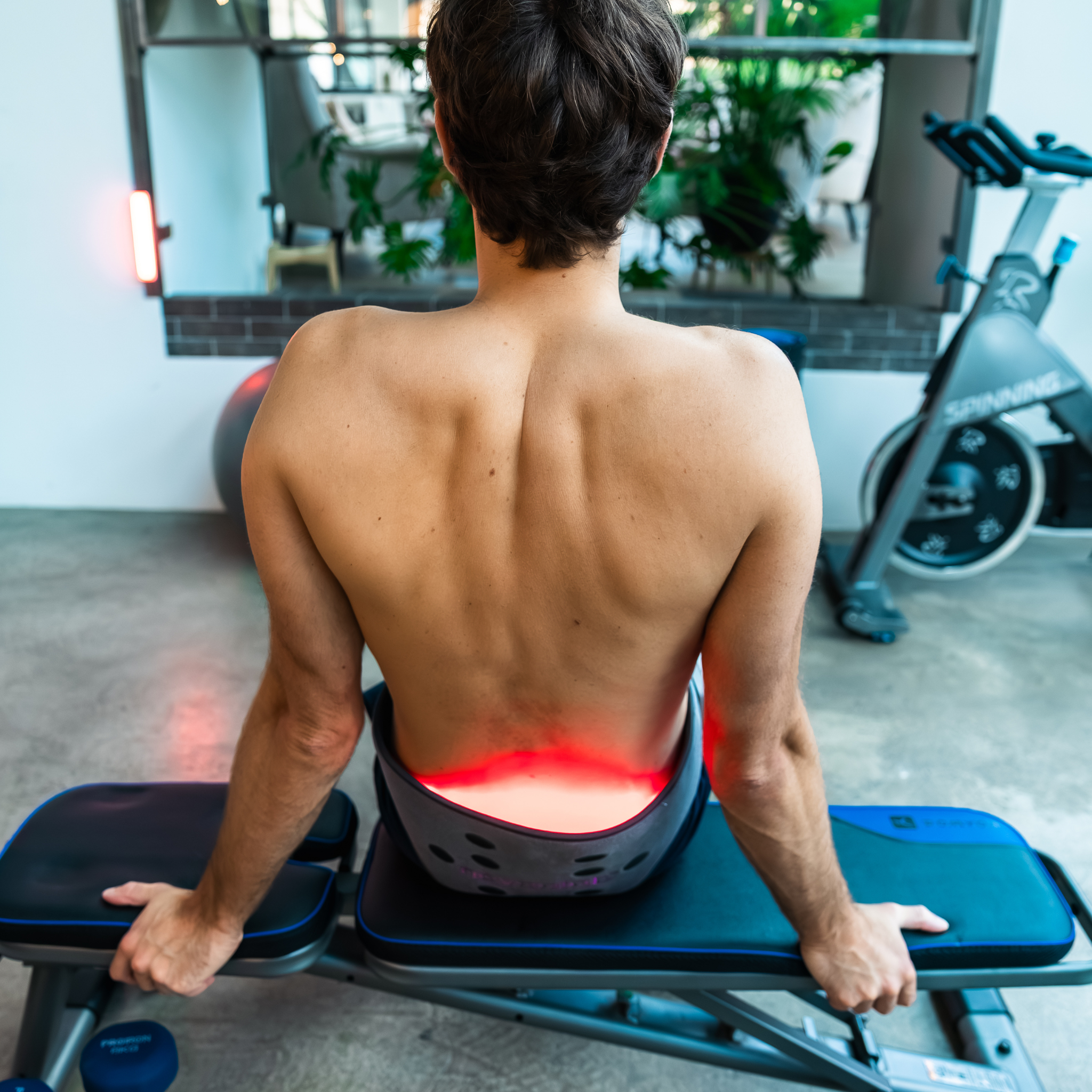 Novaa Back Pad