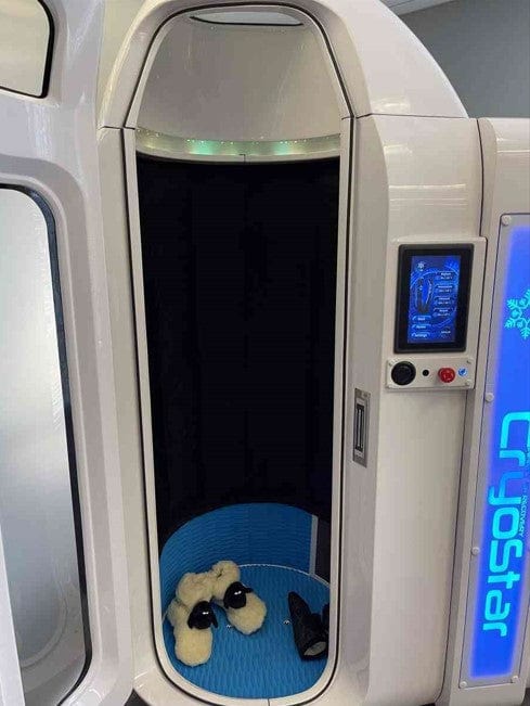 Cryonick (VacuActivus) CryoStar Antarctica Whole-Body Electric Cryotherapy Chamber